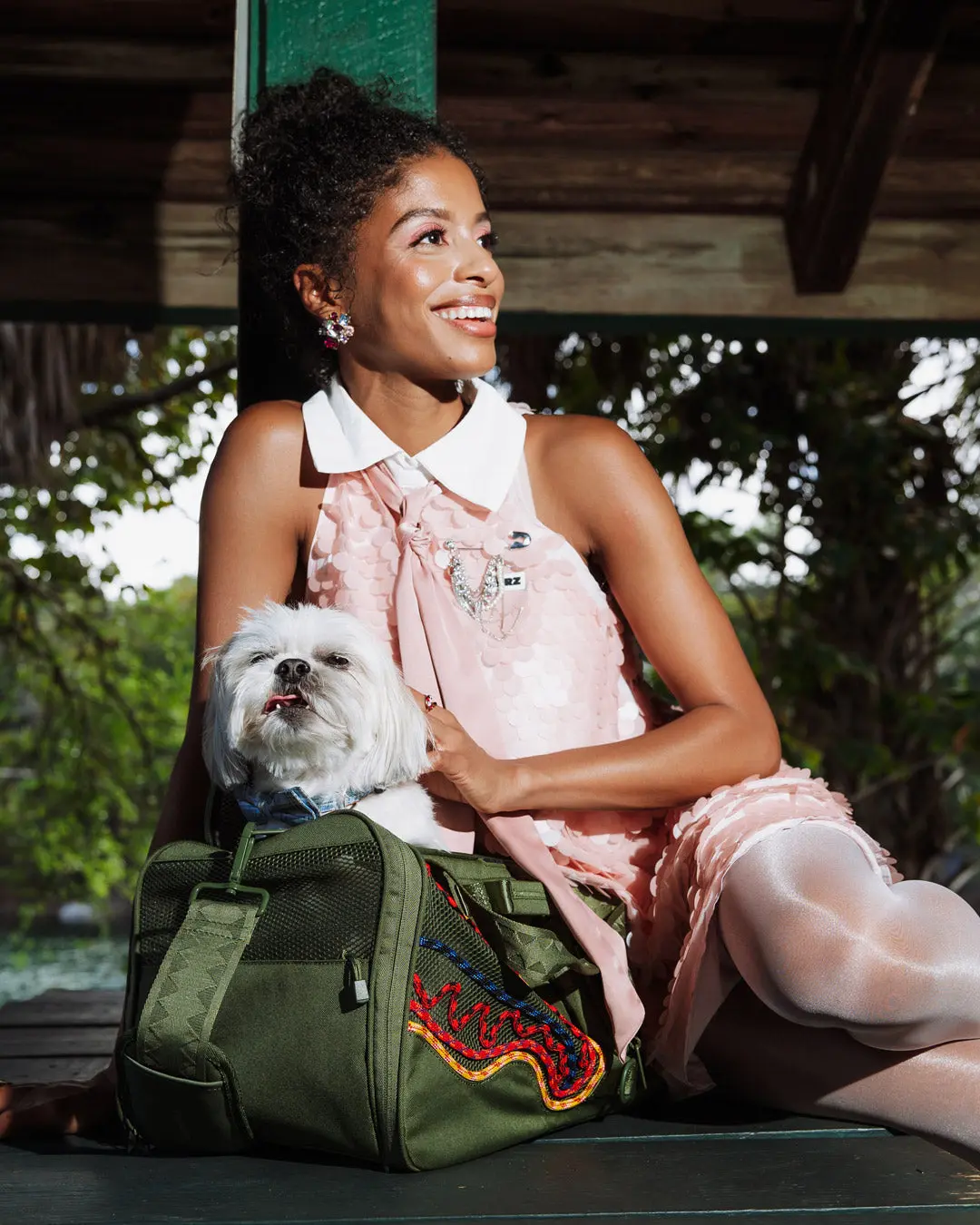 WON'T STOP TILL THE TOP PET CARRIER - Image 6