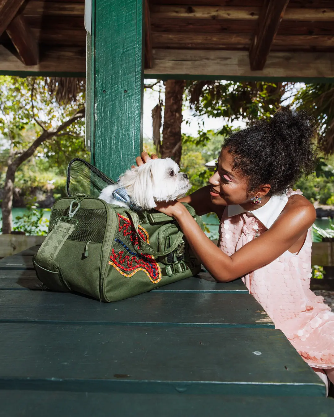WON'T STOP TILL THE TOP PET CARRIER - Image 2