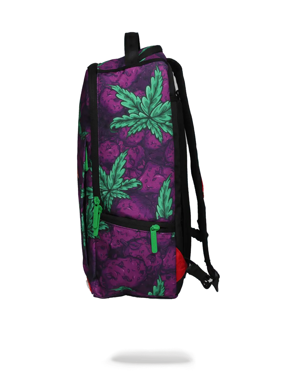 QUEEN INDICA - Image 4